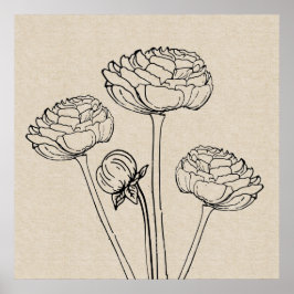 Poster de Canvas da da de Desenho Ranunculus