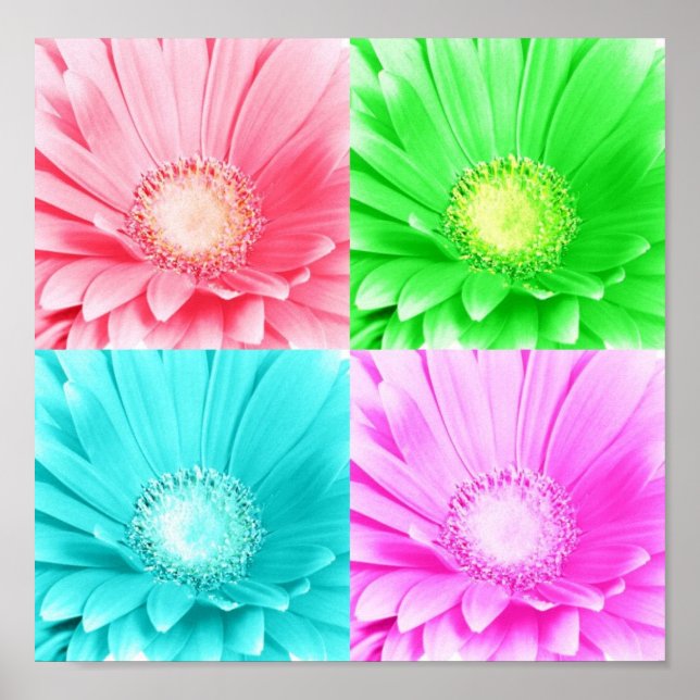 Poster de Canvas de Gerbera Daisy (Frente)