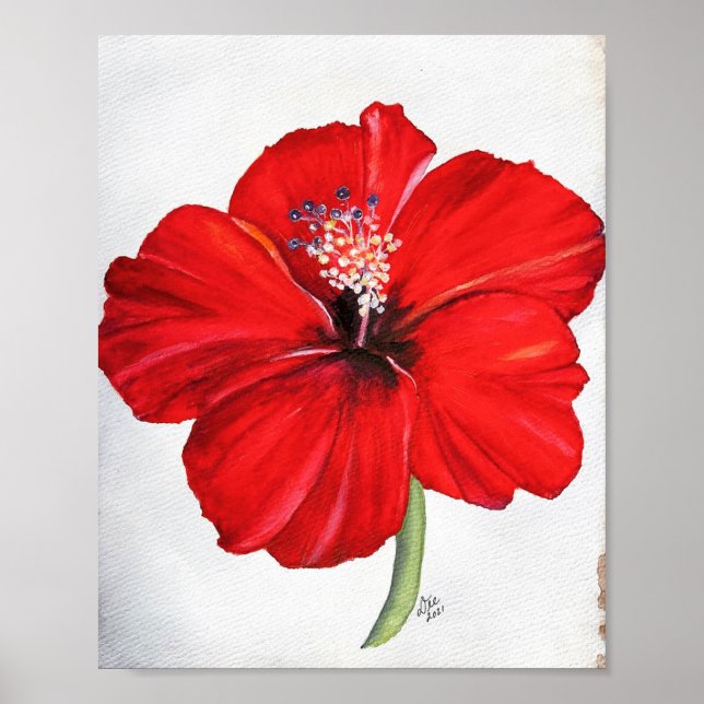 Poster de Canvas Premium do Red Hibiscus (Frente)