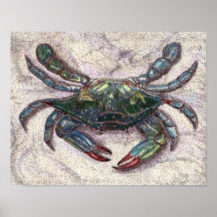 Poster de Caranguejo Azul de Baía Chesapeake