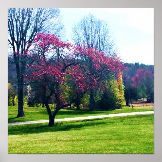 Poster de Caranguejo de Flor Vermelho