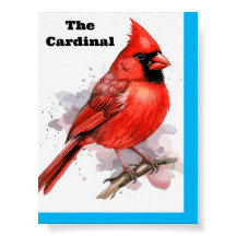 Poster de Cardinal de Ave