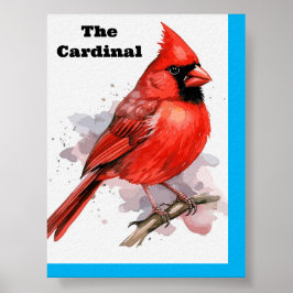 Poster de Cardinal de Ave