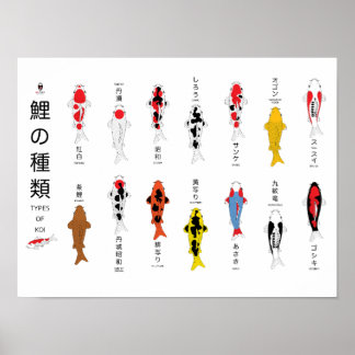 Poster de carpa, pintado à mão