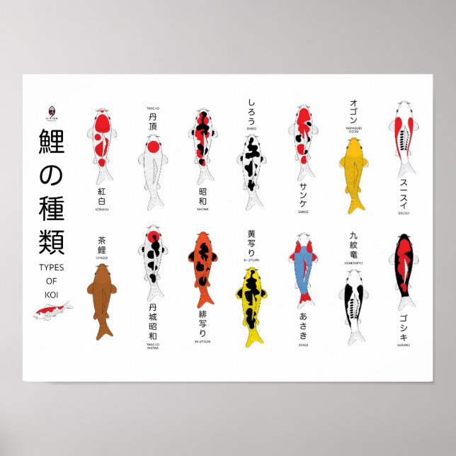 Poster de carpa, pintado à mão (Frente)