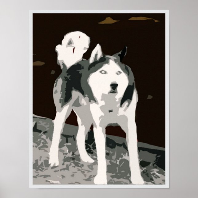 Poster de casca siberiana (Frente)