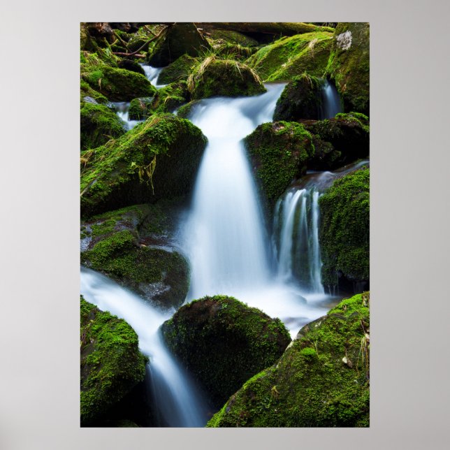 Poster de Cascata de Montanha (Frente)
