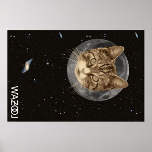 Poster de Cat Wazool