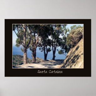 Poster de Catalina do papai noel