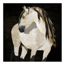 Poster de Cavalo Branco