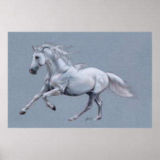 Poster de Cavalo Branco
