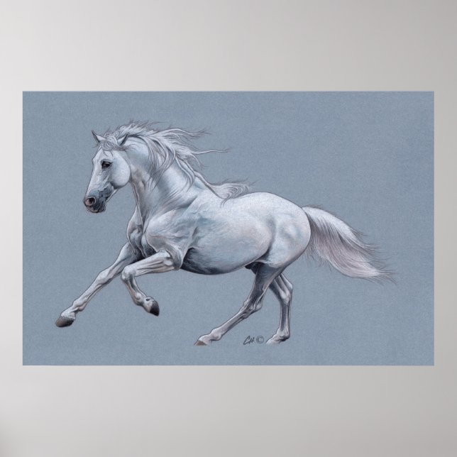 Poster de Cavalo Branco (Frente)