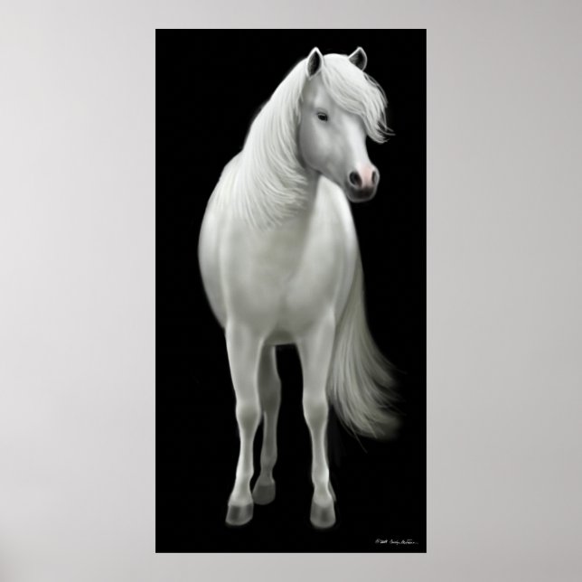 Poster de Cavalo Branco Selvagem (Frente)