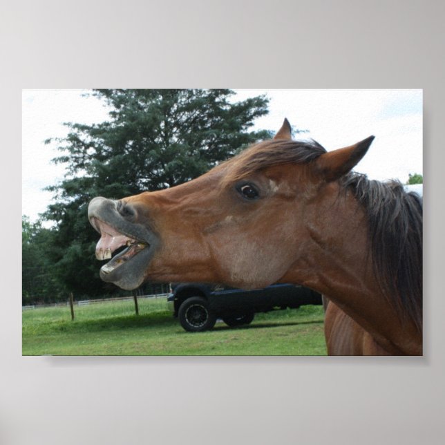 Poster de Cavalo do bobo; Escolha uma cor de fundo (Frente)