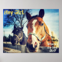 Poster de Cavalo: "Ei Menina."
