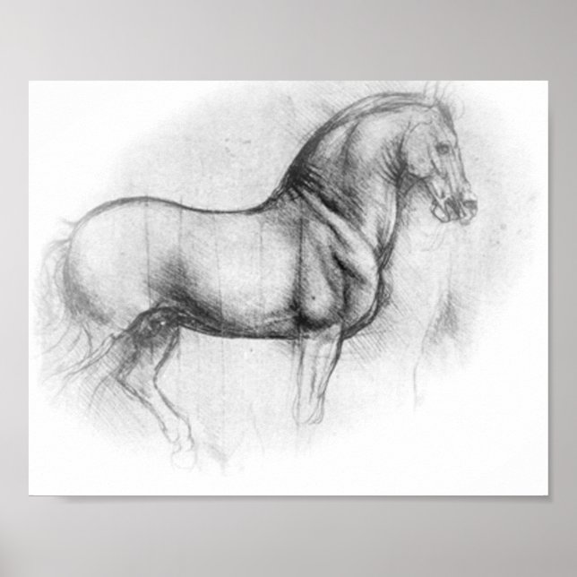 Poster de Cavalo Leonardo Da Vinci (Frente)