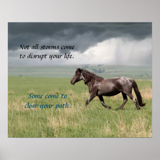 Poster de Cavalo Selvagem Mustang Motivacional