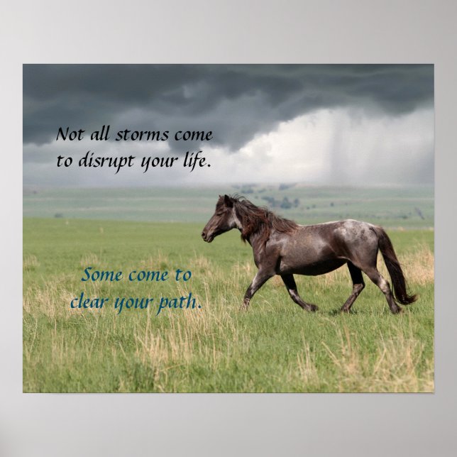 Poster de Cavalo Selvagem Mustang Motivacional (Frente)