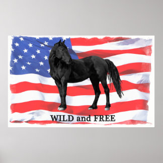 Poster de Cavalo Selvagem Selvagem Americano Selva