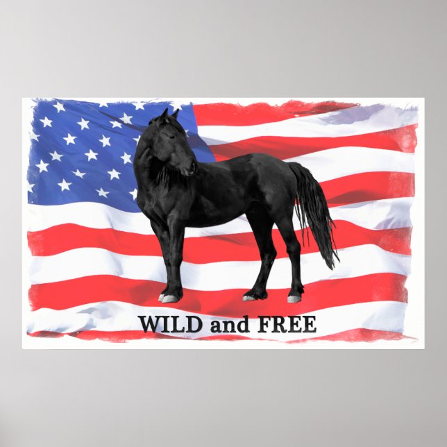 Poster de Cavalo Selvagem Selvagem Americano Selva (Frente)