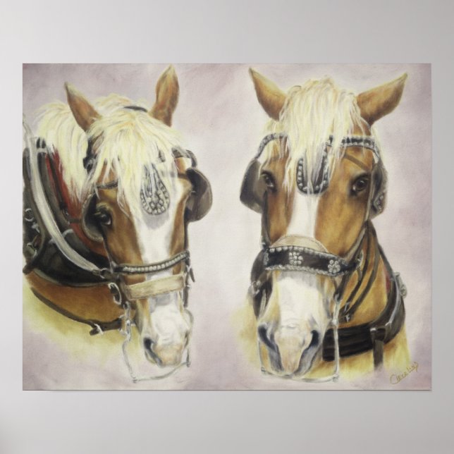 Poster de Cavalos de Rascunho (Frente)