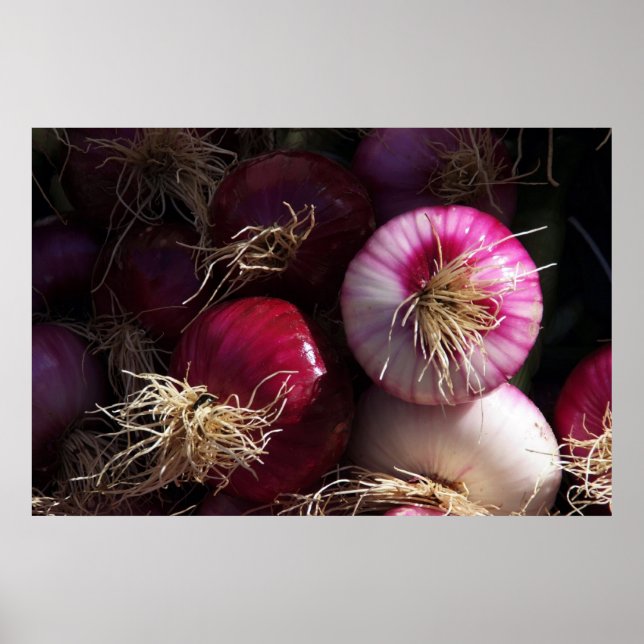 Poster de Cebolas Vermelhas (Frente)