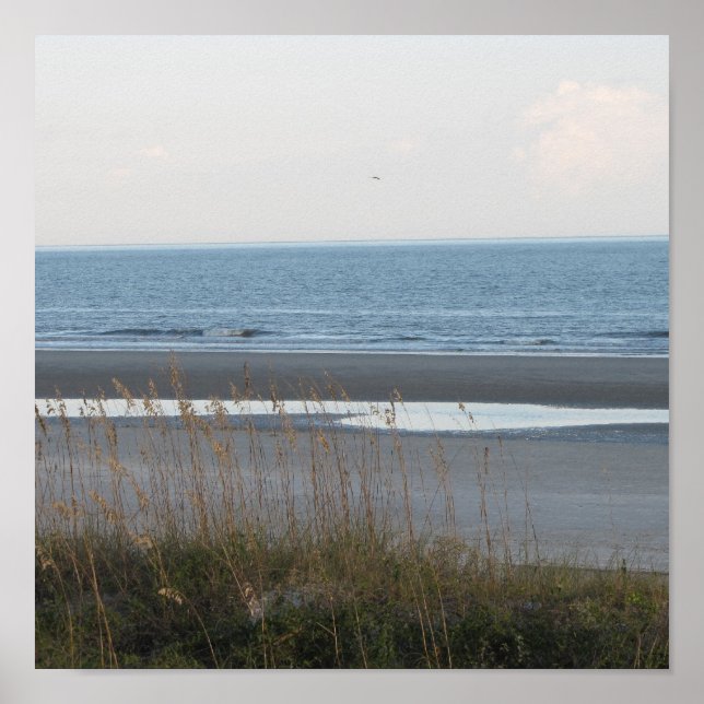 Poster de cena de praia (Frente)