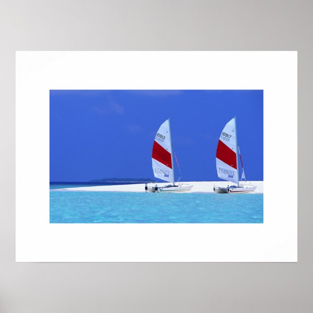 Poster de cena de praia tropical (Frente)