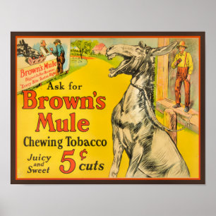 poster de Cigarro para mascar castanho de 1930