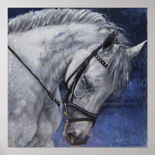 Poster de Cinza (Frente)