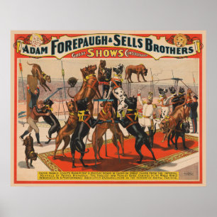 Poster de Circo De Grandes Danças Com Formador