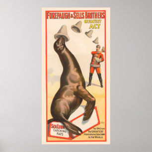 Poster de Circo Mostrando Um Chapéu De Captura De