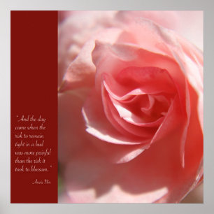 Poster de citação de Anais Nin a rosa