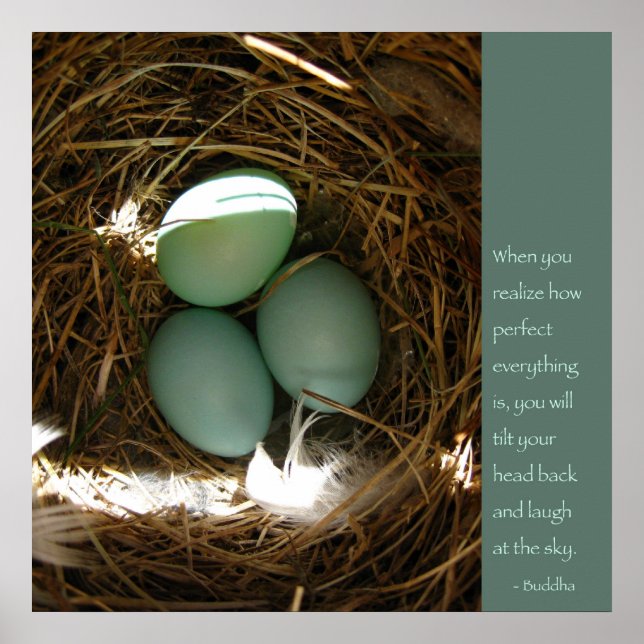 Poster de citação de Buda (Frente)