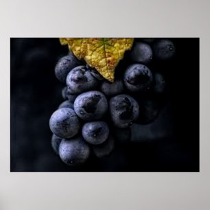 Poster de Cluster de Uvas Lusciosas