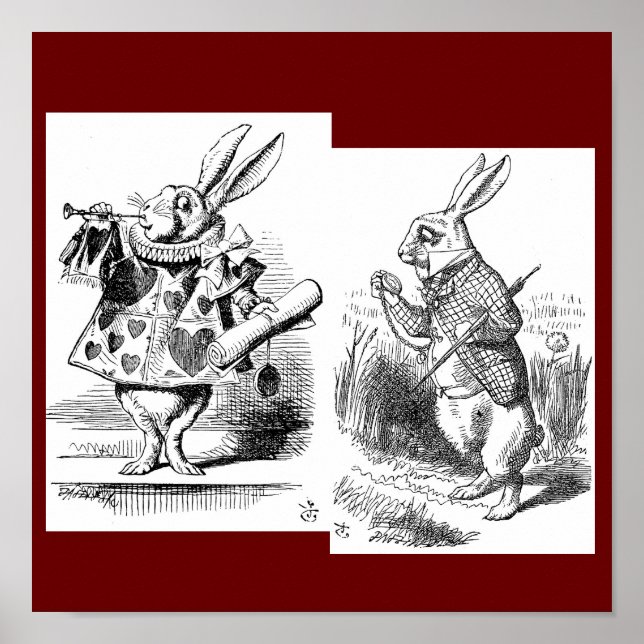 Poster de coelho (Frente)