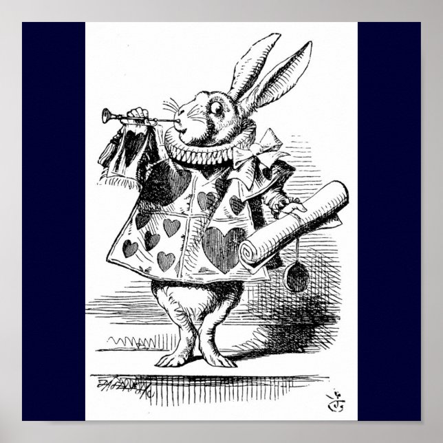 Poster de coelho (Frente)