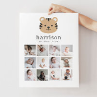 Poster de Colagem de Fotos - Rosto de Tigre