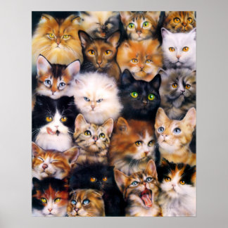 Poster de Colagem de Gatos