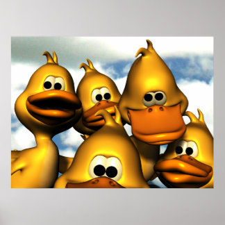 Poster de Coleta de Patos