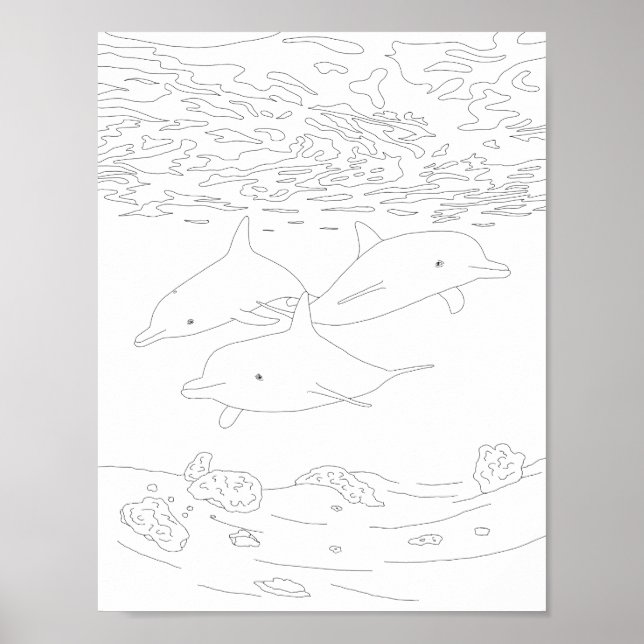 Poster de Coloração de Dolphin Pod Adulto (Frente)
