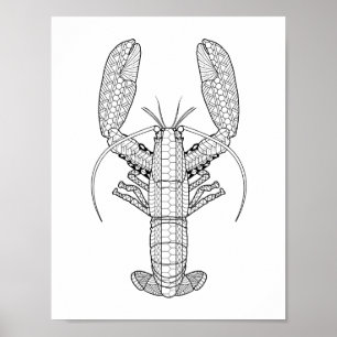 Poster de Coloração de Lagosta Adulta