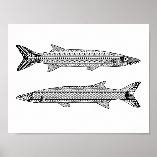 Poster de Coloração de Peixes Barracuda (Frente)
