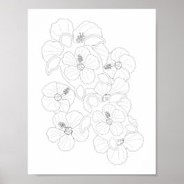 Poster de Coloração do Adulto das Tartarugas Honu