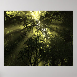 Poster de Complexação da Selva