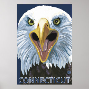 Pôster De ConnecticutEagle fim acima