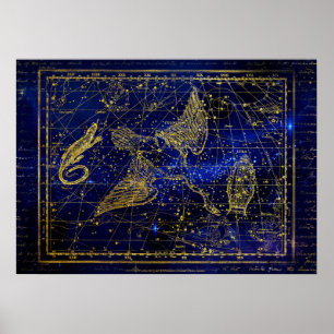 poster de constelação de lagartos e de Cisnes