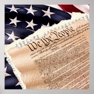 Poster de Constituição