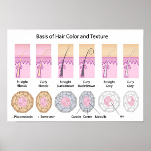 poster de cor e textura