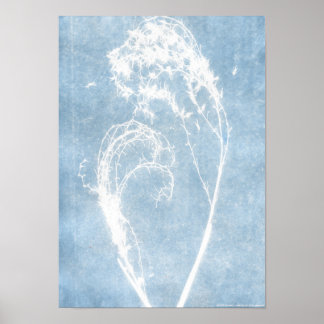 Poster de Coração de Plantas Cyanotype Azul